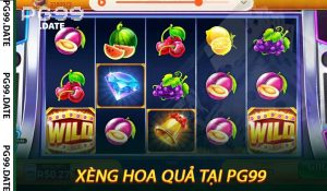 Xèng hoa quả