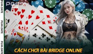Cách Chơi Bài Bridge Online