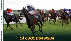 Cá Cược Đua Ngựa