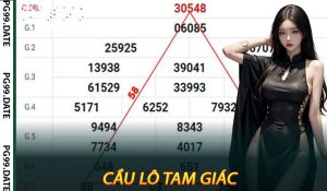 Cầu Lô Tam Giác
